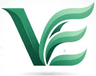 VigorEcon Care logo